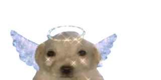😇 emoji @shubh_you Telegram sticker 17 of 120
