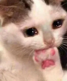 🥺 emoji @DarkwebInjectorSrk's pack Vol.1 Telegram sticker 8 of 92