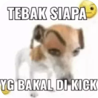 🤲 emoji milea pacar sunwoo Telegram sticker 7 of 11