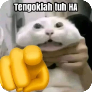 👍 emoji milea pacar sunwoo Telegram sticker 6 of 11