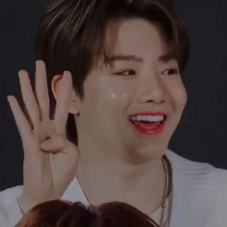 🕊 emoji — kim junkyu ˖࣪ ·﹆ @gicelyra Telegram sticker 24 of 120