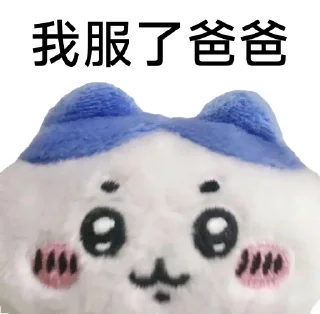 Sticker from Chiikawa 静态