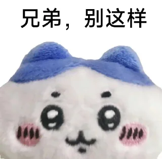 Sticker from Chiikawa 静态