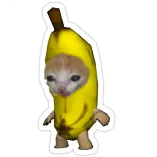 👍 emoji Hardik papa Telegram sticker 4 of 46