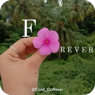 Sticker from Doodles @Cold_Coffeee