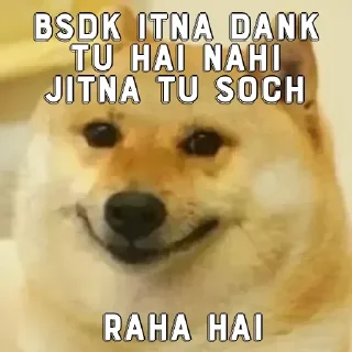 Sticker from Gojo's sticker pack (@Mikasa_Ackr_bot)