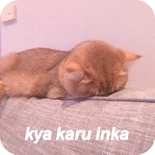 😴 emoji 𝖣𝗐┊𝗇σвιтα Telegram sticker 24 of 99