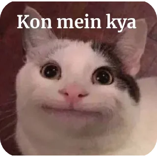 😐 emoji 𝖣𝗐┊𝗇σвιтα Telegram sticker 9 of 99