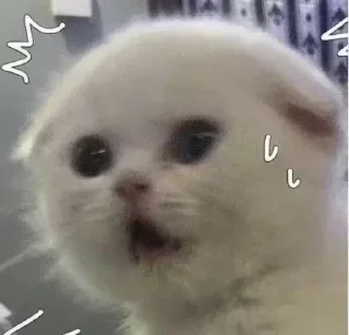 😅 emoji 𝖣𝗐┊𝗇σвιтα Telegram sticker 14 of 99