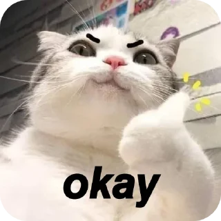 🤨 emoji 𝖣𝗐┊𝗇σвιтα Telegram sticker 12 of 99