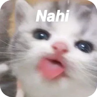 😝 emoji 𝖣𝗐┊𝗇σвιтα Telegram sticker 13 of 99