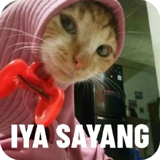 Sticker from jamet