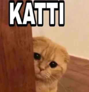 🥺 emoji 【𓆩𝐑𝐎𝐂𝐊𝐒𓆪】 ͢ ̶̶ͥ ̶ ̶ͣ ͓ ̶͓ͫ➳🇧ʅαƈƙ 🇲σσɳ⛦⃕͜🇮🇳's video pack (@Enmu_K Telegram sticker 3 of 36