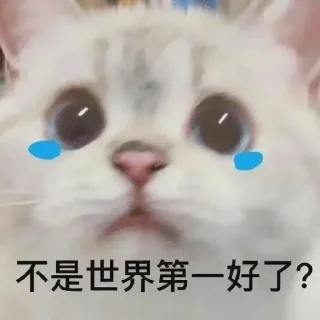 Sticker from 煤球球