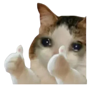 😭 emoji @prajwalsb's pack Vol.1 Telegram sticker 2 of 101