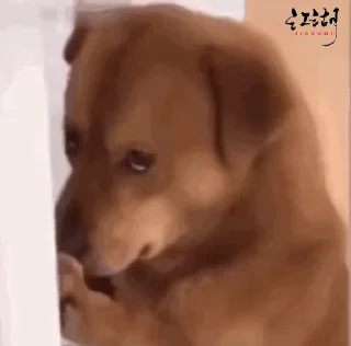 🐶 emoji 草包#2 Telegram sticker 24 of 27