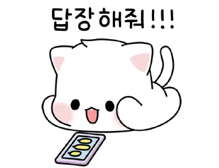 Sticker from 뽀짝뽀짝! 막내 다다 By @KakaoEmoticon