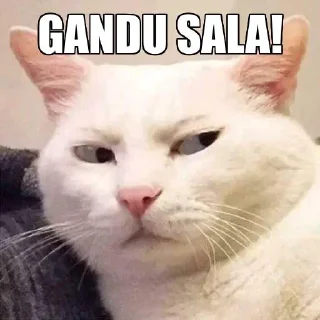😒 emoji Random Shit @BeingSingleBoi Telegram sticker 15 of 94