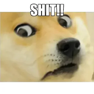 😢 emoji Random Shit @BeingSingleBoi Telegram sticker 20 of 94