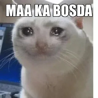 😭 emoji Random Shit @BeingSingleBoi Telegram sticker 13 of 94