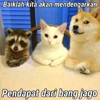 🖕 emoji Punya RayJek Vol.2 Telegram sticker 14 of 58