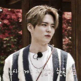 Sticker from ⌗𝐘𝐨𝐬𝐡𝐢 — @STIKELTREASURE