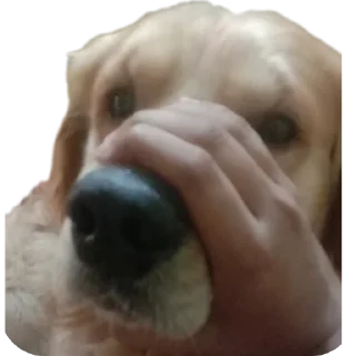 Sticker from Stickers