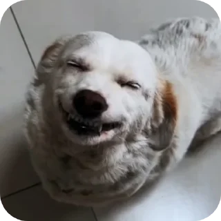 Sticker from Stickers