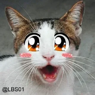 😍 emoji @kazuyax_x Telegram sticker 7 of 113