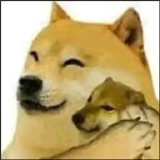 😏 emoji @kazuyax_x Telegram sticker 4 of 113