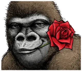 Sticker from Gorilla X panda