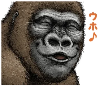 Sticker from Gorilla X panda