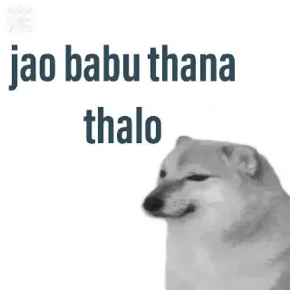 ✨ emoji Anand UP wala 🤪🤪 Telegram sticker 12 of 91