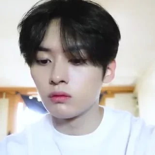 Sticker from ⋆ @skz_stickers ⋆