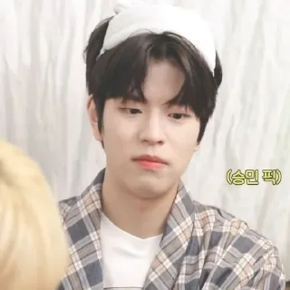 Sticker from ⊱⋅ @skz_stickers⋅⊰