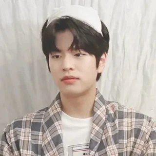 Sticker from ⊱⋅ @skz_stickers⋅⊰
