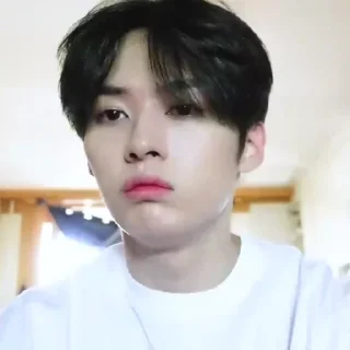 Sticker from ⋆ @skz_stickers ⋆