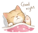 😴 emoji Cat's LifeStyle (English Ver.) Telegram sticker 6 of 41