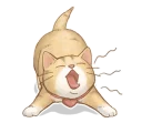 😪 emoji Cat's LifeStyle (English Ver.) Telegram sticker 9 of 41