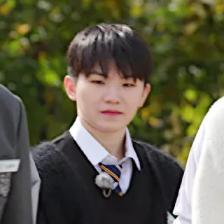 🩻 emoji @STIKERSVT : Woozi GOSE SPECIAL I Know & Don't Know Telegram sticker 15 of 33