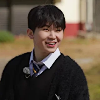 🩻 emoji @STIKERSVT : Woozi GOSE SPECIAL I Know & Don't Know Telegram sticker 4 of 33