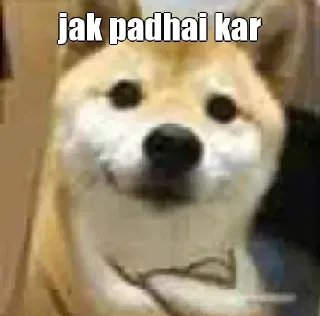 Sticker from Arindam's sticker pack (@Marin_Roxbot)