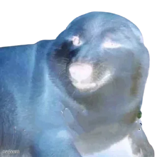 👀 emoji Priyanshu's Pack (@Shinobu_robot) 1 Telegram sticker 7 of 120