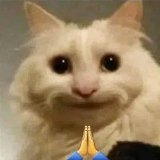 🙏 emoji 🚬🗿 Telegram sticker 7 of 107