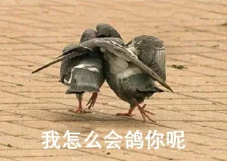 🐦 emoji 云木的静态贴纸包 Telegram sticker 8 of 50