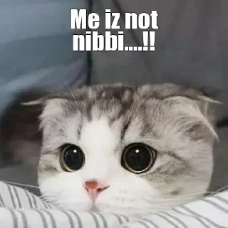 🥺 emoji @DEPRESSED_GIRL_KABBO my — @stckrRobot Telegram sticker 14 of 75