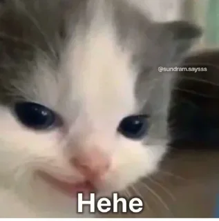 😂 emoji @justaesthetix07   #09 Meow Telegram sticker 4 of 120