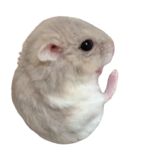 🤔 emoji WнιтєGнσѕт's v3 Telegram sticker 17 of 50