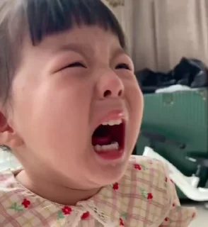 😭 emoji 崔智贤 视频贴纸包(0) Telegram sticker 14 of 50