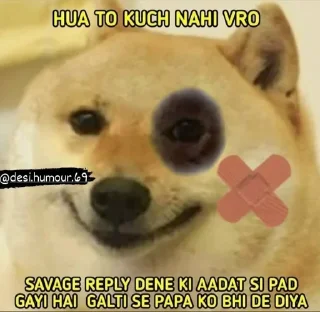 Sticker from 亗 𝚄𝚁𝚂⇀Harshu bhaiya 亗's Pack (@Shinobu_robot)